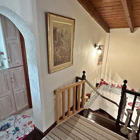 Nikolas Villa