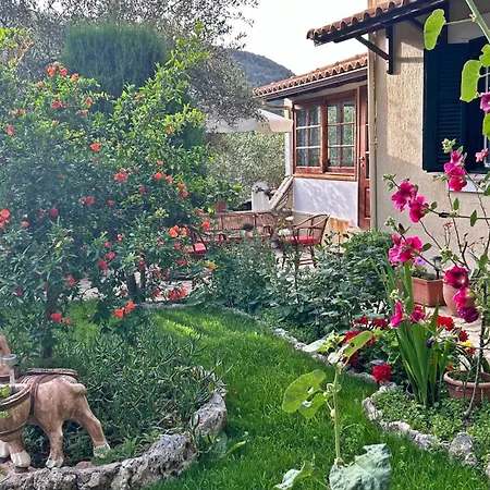 Nikolas * Asprogerakata